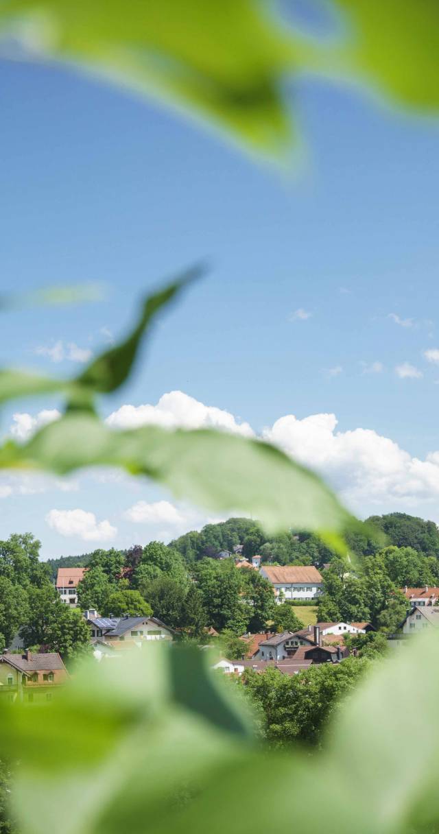 Blick aus dem Baum über Miesbach
